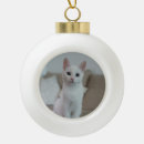 Zoek naar witte kat ornamenten Kerstmis