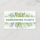 Zoek naar nursery visitekaartjes Plant