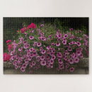 Zoek naar geraniums puzzels Bloei