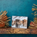 Zoek naar paarden fotoplaat Vee