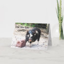 Zoek naar piggy kaarten Varken