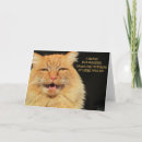 Zoek naar gekke woordspelingen kaarten Kat