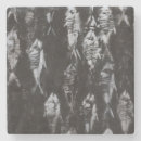 Zoek naar fossiel onderzetters Vis