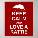 Zoek naar ratten posters Knaagdier