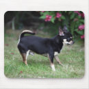 Zoek naar alert muismatten Bob en pam langrish