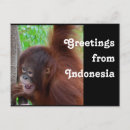 Zoek naar indonesische briefkaarten Reizen