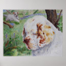 Zoek naar clumber spaniel posters Hond