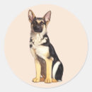 Zoek naar politie honden stickers Herder