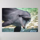 Zoek naar afbeeldingen posters Mooi