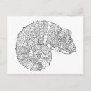 Zoek naar chameleon briefkaarten Zendoedle