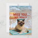Zoek naar het missen van u briefkaarten Kat