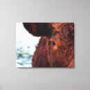 Zoek naar koe hoofd posters Dieren