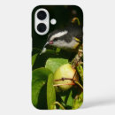 Zoek naar bahamas iphone hoesjes Tropisch