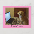 Zoek naar poedel hond briefkaarten Dieren