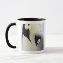 Zoek naar kuiken mokken Pinguïn