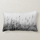 Zoek naar duinen kussens Landschappen