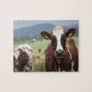Zoek naar landbouw puzzels Voorste uitzicht