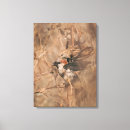 Zoek naar zangvogel kunst Bruine vogels