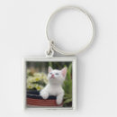 Zoek naar kiten sleutelhangers Kitten