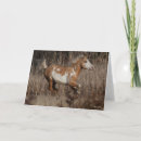 Zoek naar bob kaarten Paard