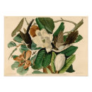 Zoek naar koekoek posters Elk persoon