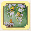 Zoek naar zangvogel onderzetters Gele vogel