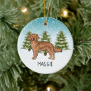 Zoek naar golden retriever kerstmis ornamenten Sneeuw