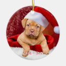 Zoek naar pitbull ornamenten Schattig