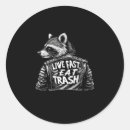 Zoek naar grappige panda stickers Wasbeer