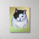 Zoek naar zwart witte katten kunst Kittens