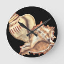 Zoek naar shell klokken Conch seashell