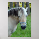 Zoek naar fjord paard posters Dier