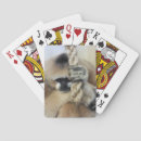 Zoek naar apen speelkaarten Dieren