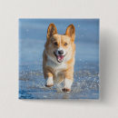 Zoek naar strand buttons Zand