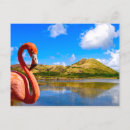 Zoek naar st kitts briefkaarten Landschap