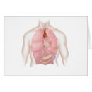 Zoek naar aorta briefkaarten Detail