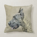 Zoek naar denen kussens Hond