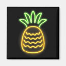 Zoek naar ananas magneten Hawaïaans