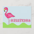 Zoek naar birds briefkaarten Flamingo