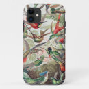 Zoek naar kolibrie iphone hoesjes Ernst haeckel