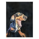 Zoek naar worst hond posters Doxie