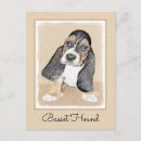 Zoek naar basset hond briefkaarten Basset hound puppy