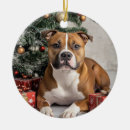 Zoek naar pitbull ornamenten Stier