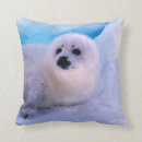 Zoek naar zegel kussens Noordpoolgebied