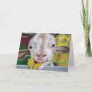 Zoek naar tante liefde kaarten Tante is jarig