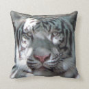 Zoek naar roofdieren kussens Grote katten