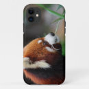 Zoek naar rode panda iphone hoesjes Bedreigd