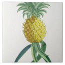 Zoek naar ananas tegels Fruit