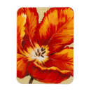 Zoek naar tulip magneten Knol