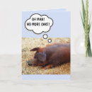 Zoek naar leuke varkens kaarten Elk persoon
